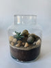 Terrarium cylindre petit - Cactus et succulentes