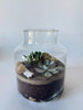 Terrarium cylindre petit - Cactus et succulentes