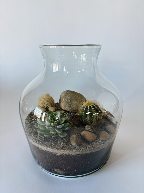 Terrarium bonbonnière