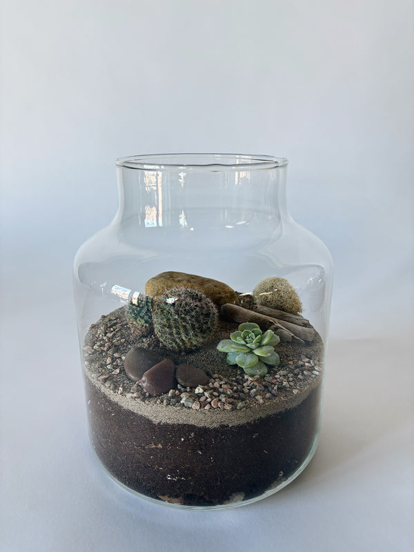 Terrarium cylindre petit - Cactus et succulentes