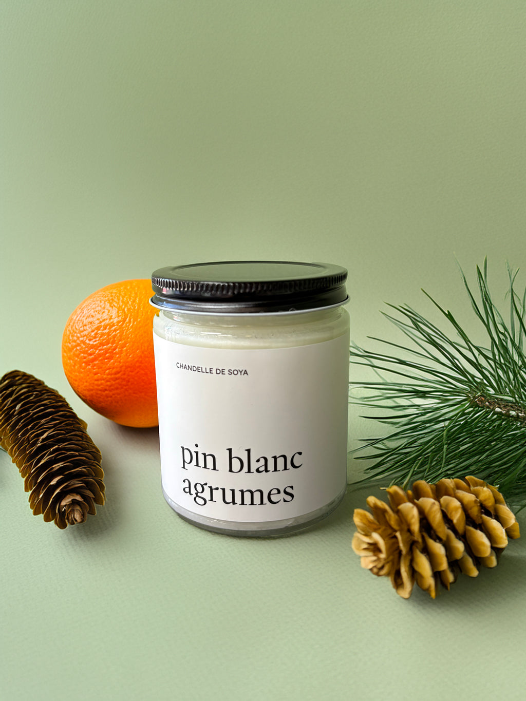 Chandelle de soya - Pin blanc et agrumes