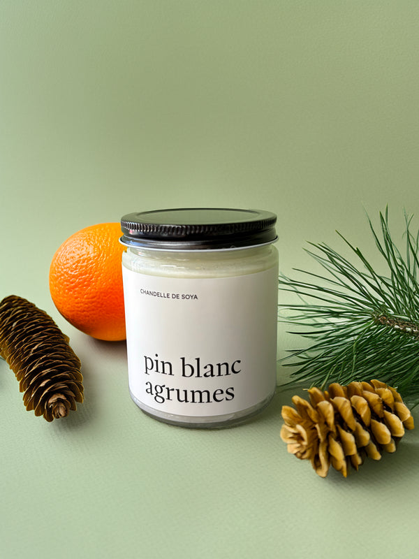 Chandelle de soya - Pin blanc et agrumes